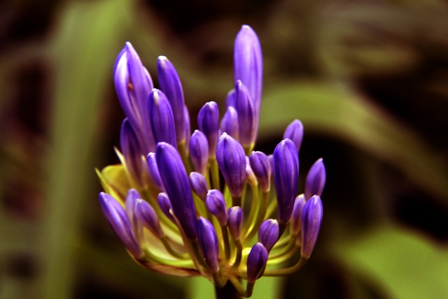 从而为即将 从而为即将