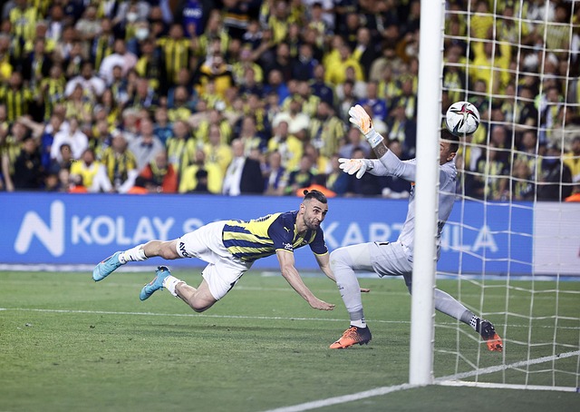 球迷及專業 球迷及專業