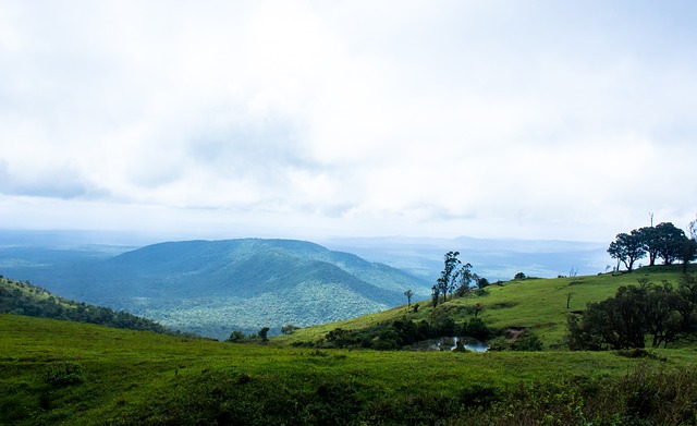 一步提升联 一步提升联