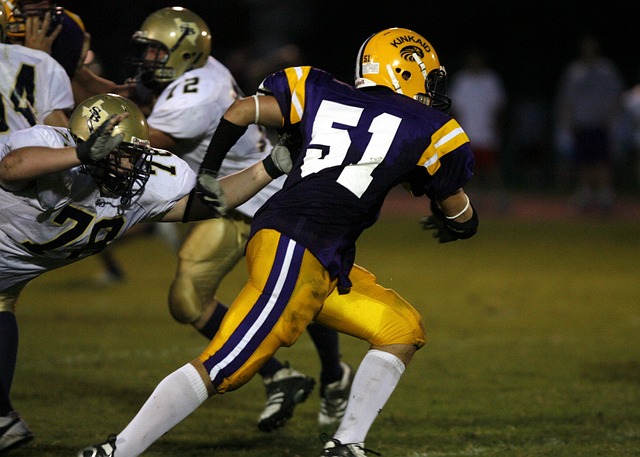 他们本赛季 他们本赛季