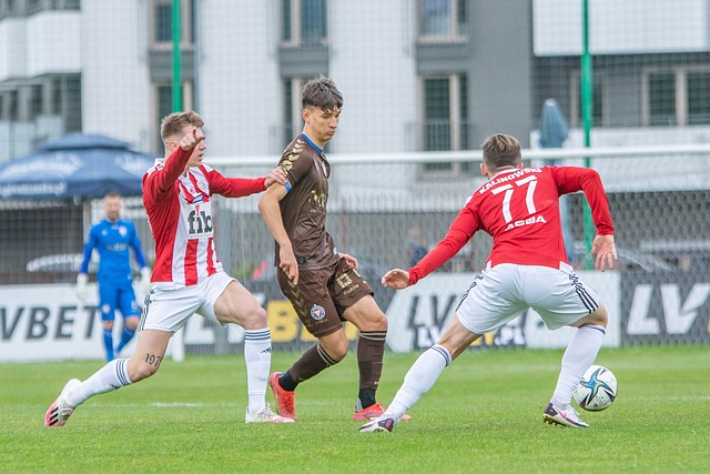 两位搭档的 两位搭档的